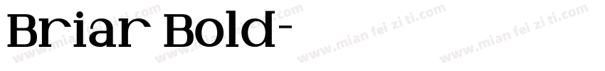 Briar Bold字体转换